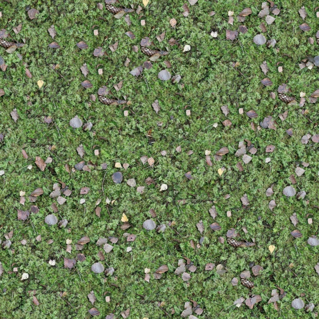 a field with lots of green grass and rocks