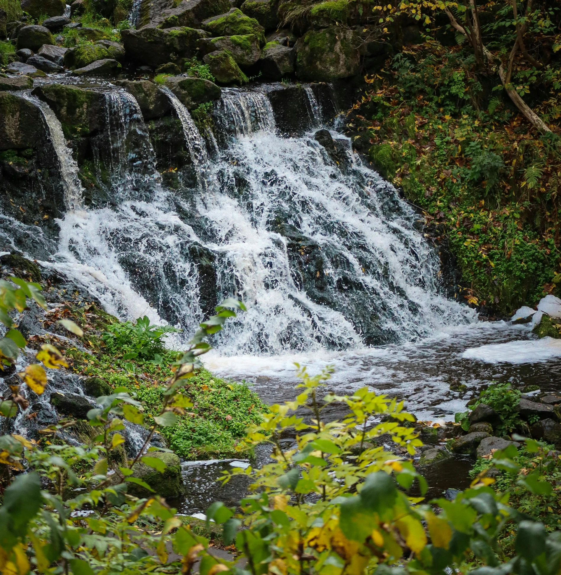 a waterfall in the middle of the woods