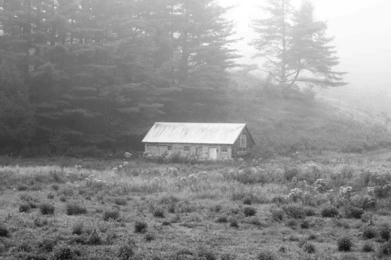 a small log cabin in the fog surrounded by tall trees