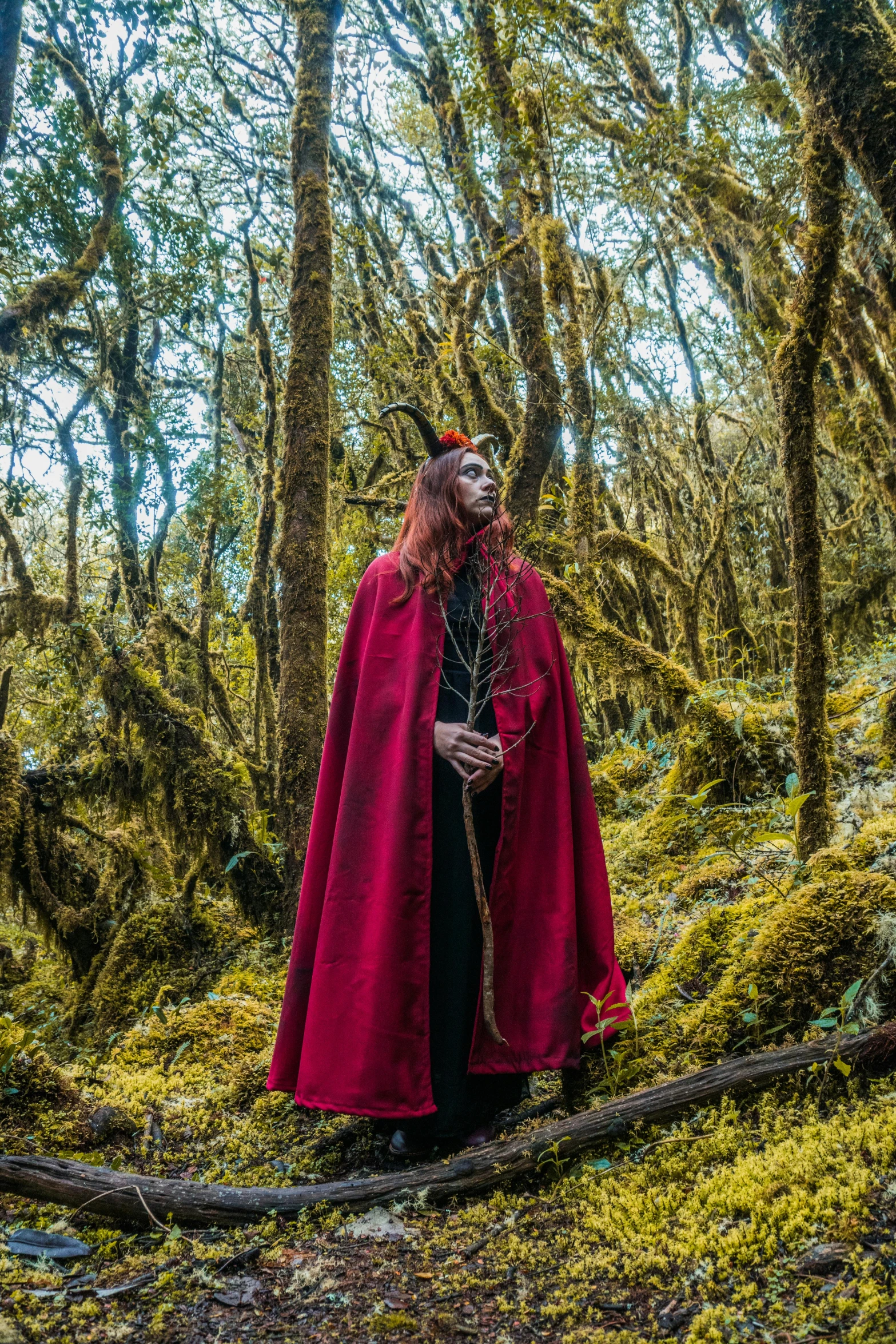 the man in a red cape stands in the middle of the woods