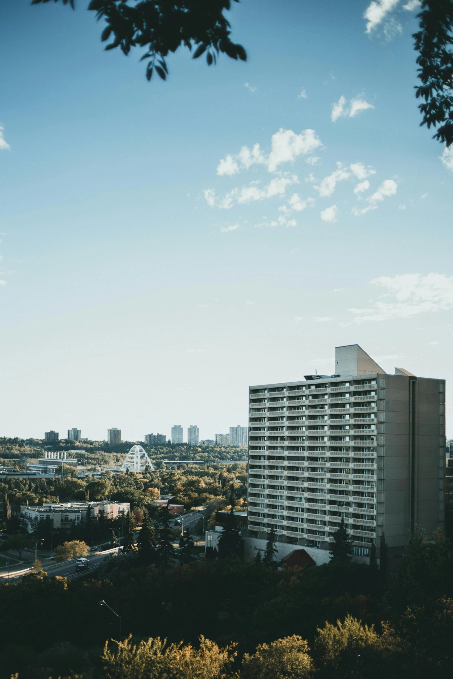 a tall white building sitting in the middle of a forest