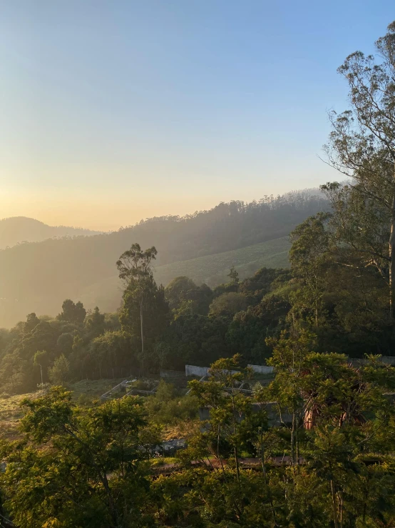 a forested, forested area is shown with sun shining on the mountains