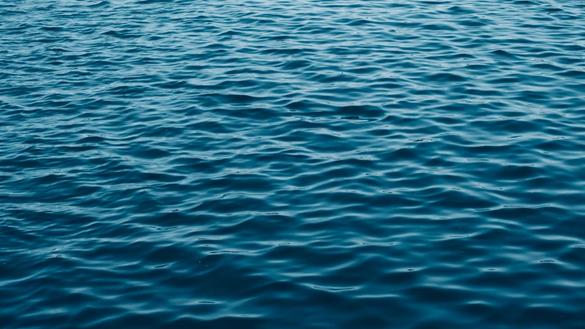 a large body of water with several waves