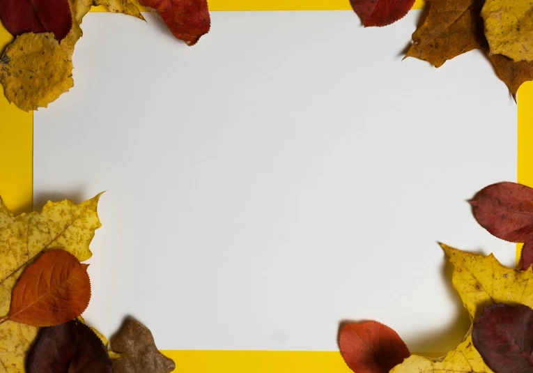 a yellow and white paper surrounded by leaves