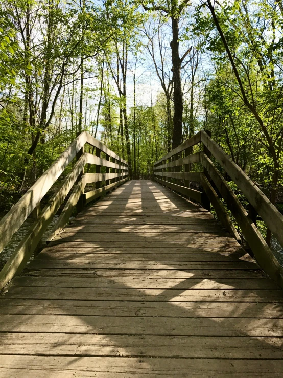 a bridge that is over looking the woods