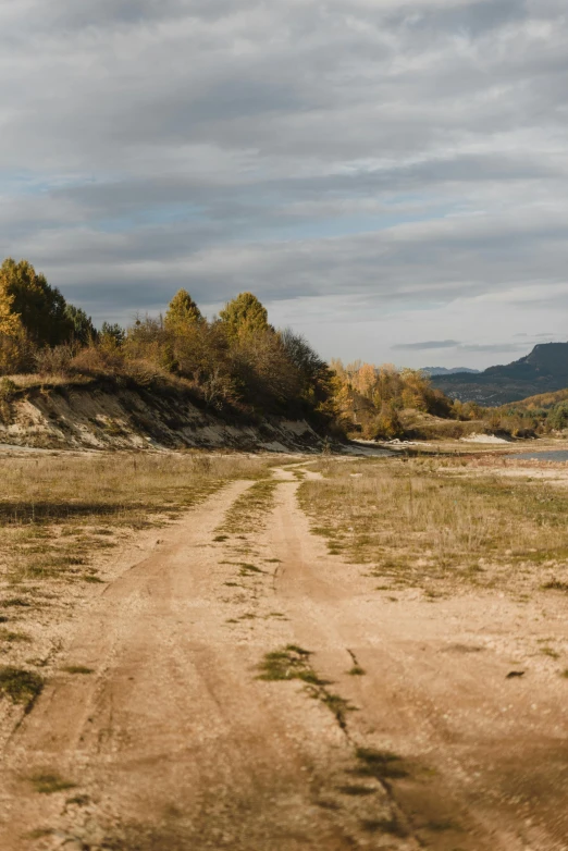 a dirt road with several trees in the background