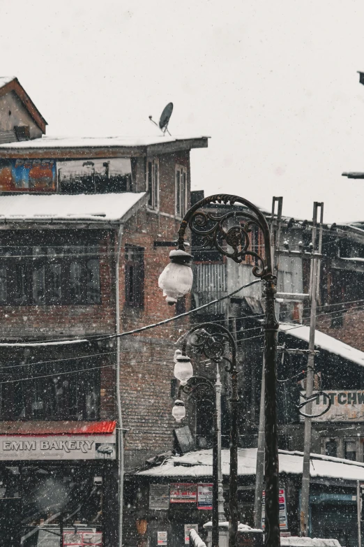 a group of birds perch on top of power lines on a snowy day