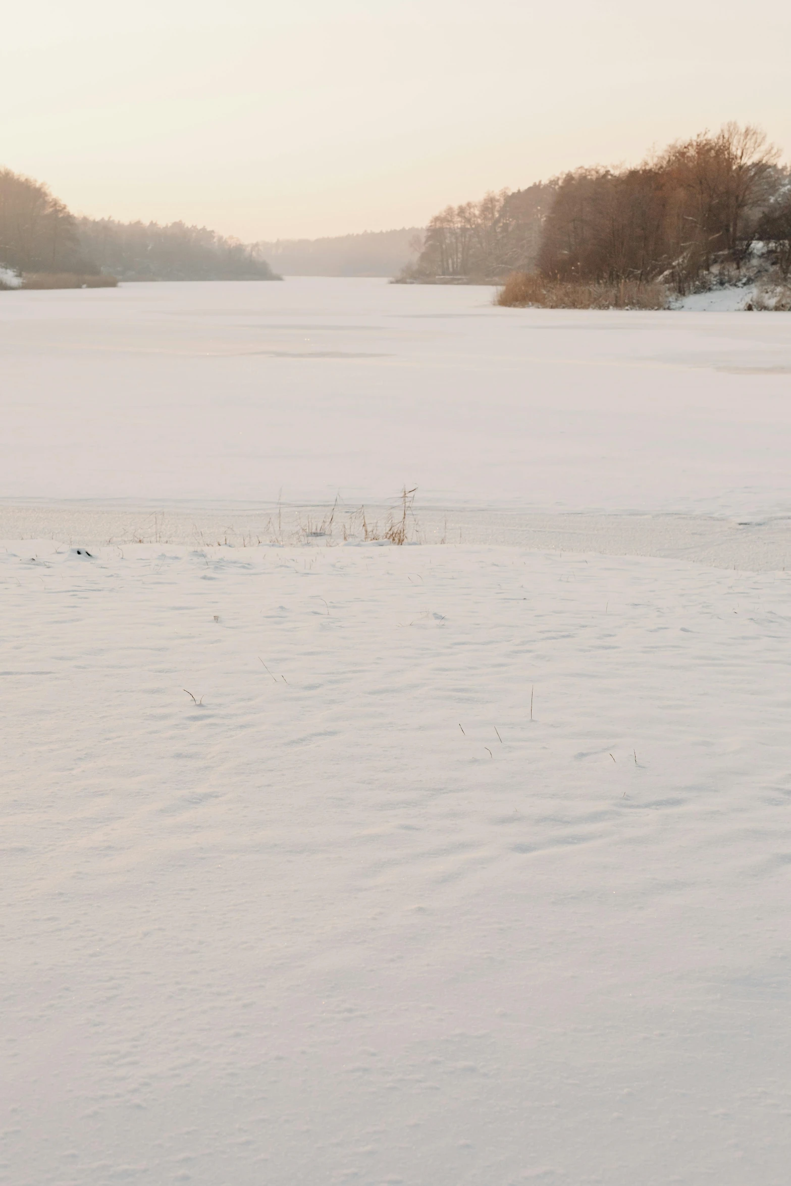 the field is covered in snow during the winter