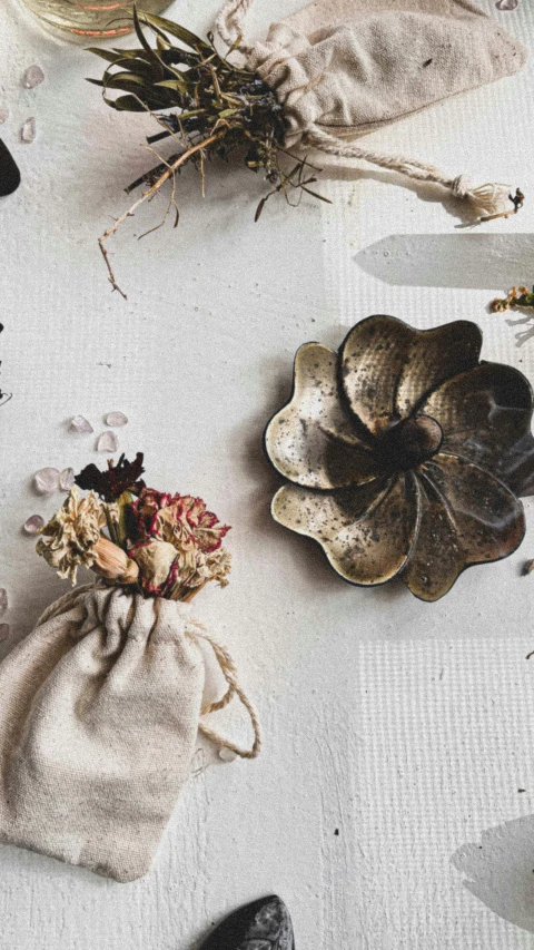 various herbs and plants in a bag