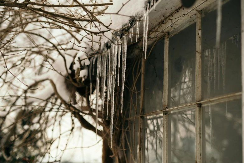 the ice covered trees outside of an old house