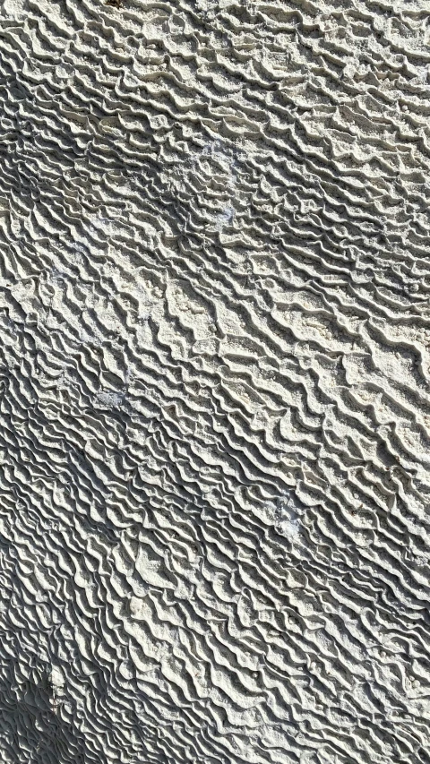 the top view of a building next to the ocean