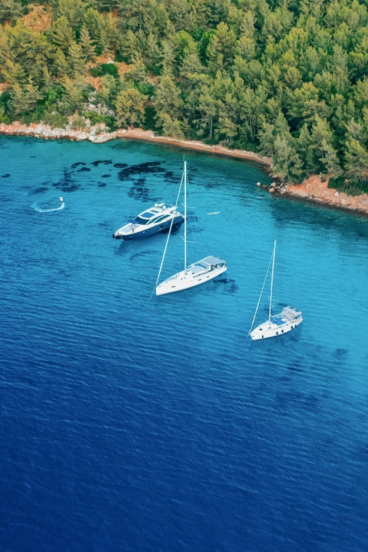 three white boats in the blue water near some trees