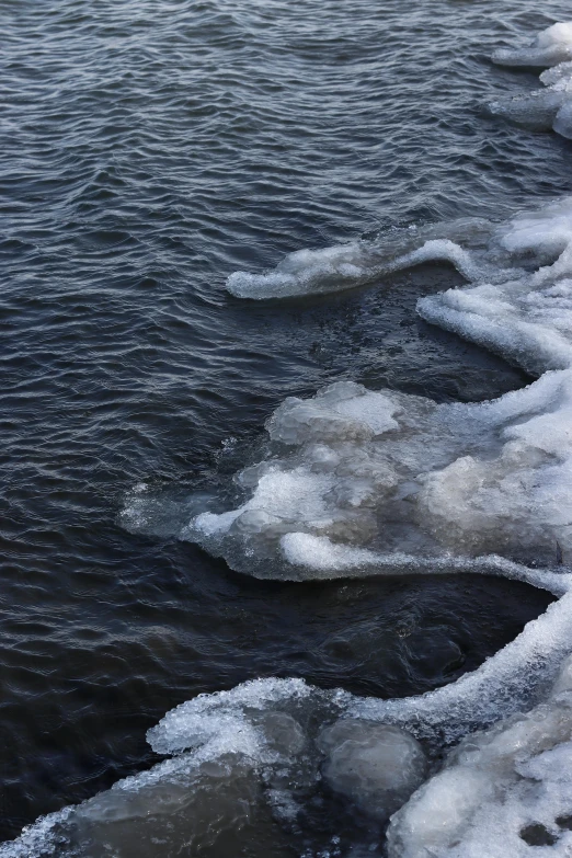 the water is frozen and there are several ice floes in the icy water