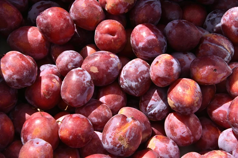 the fruits are covered with some very bright colored wax