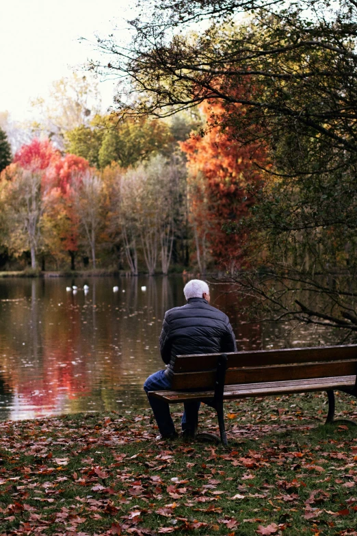 an older man sits alone on a park bench