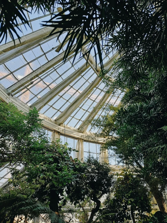 a large building that has lots of plants inside of it