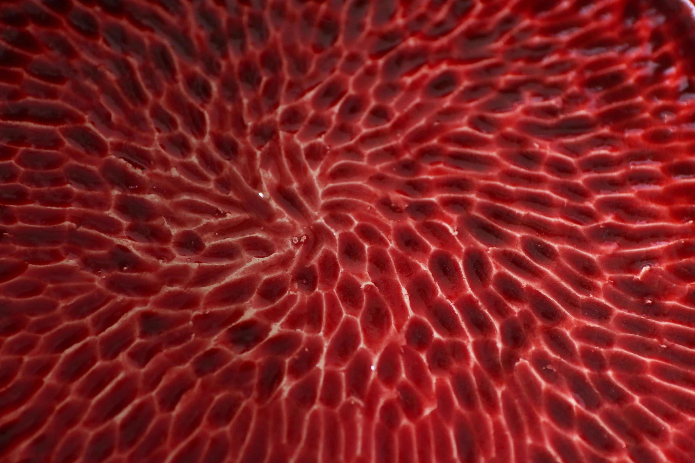 close up s of the inside of a fruit, with large red petals