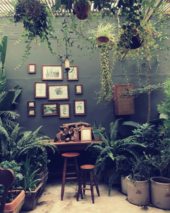 plants and pictures on a wall in a room