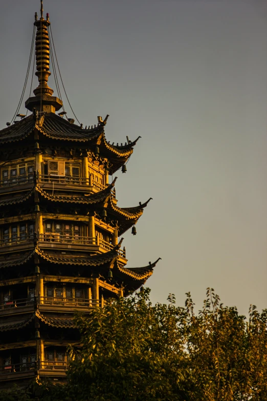 an ornate pagoda sitting between two trees