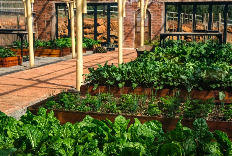 a garden that has various plants and pots in it