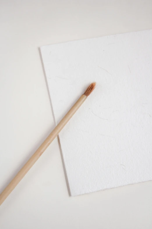 a single bamboo stick sits on a white sheet of paper