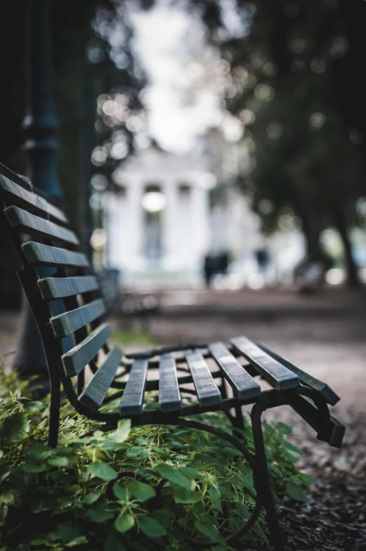 a wooden bench in front of a building with trees and shrubs on it