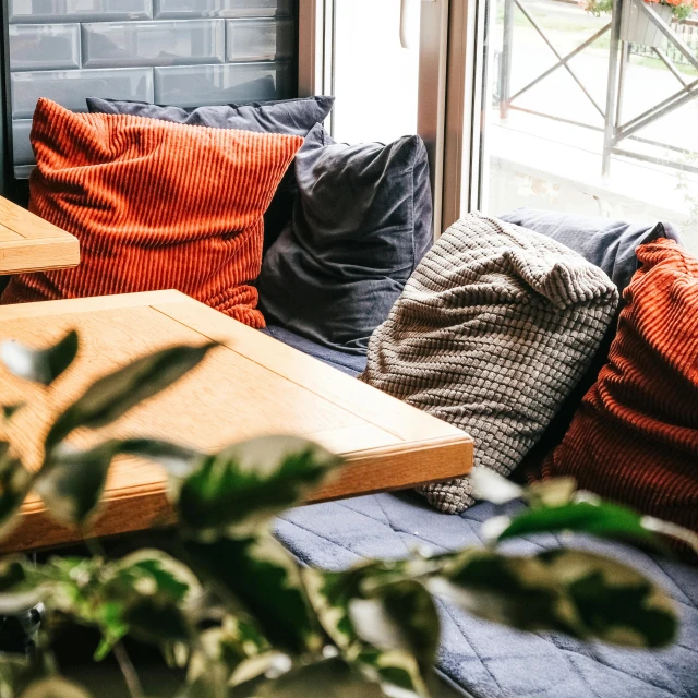 a living room with orange cushions, a plant and windows