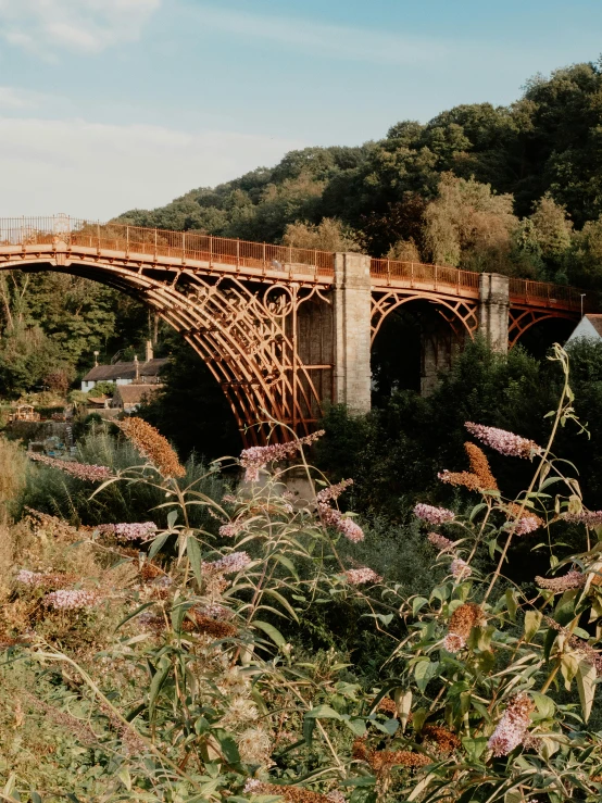 a bridge crossing over a stream in the forest