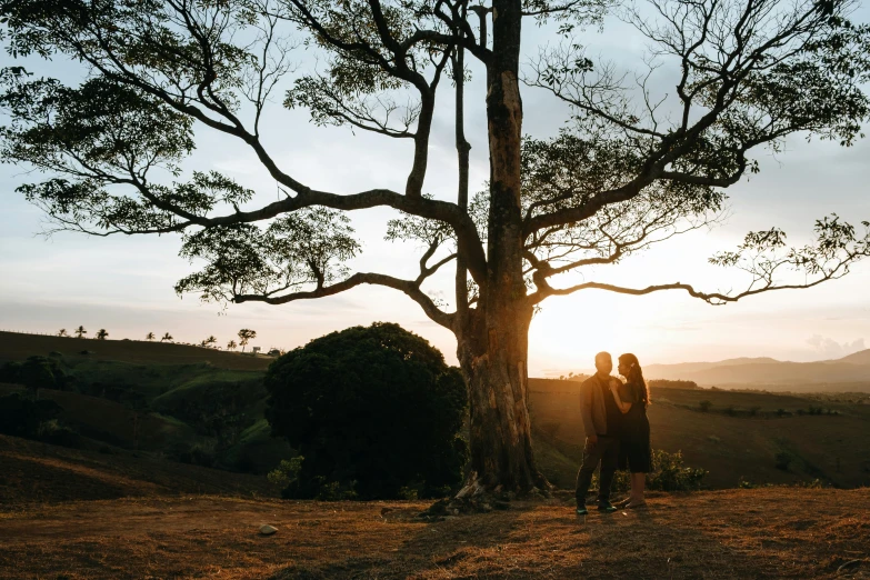 two people stand under a tall tree during a sunset