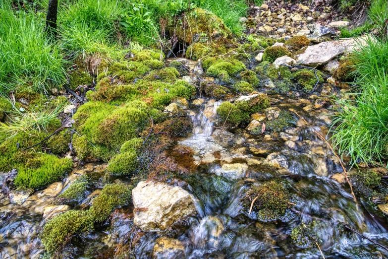 a stream of water running through lush green grass