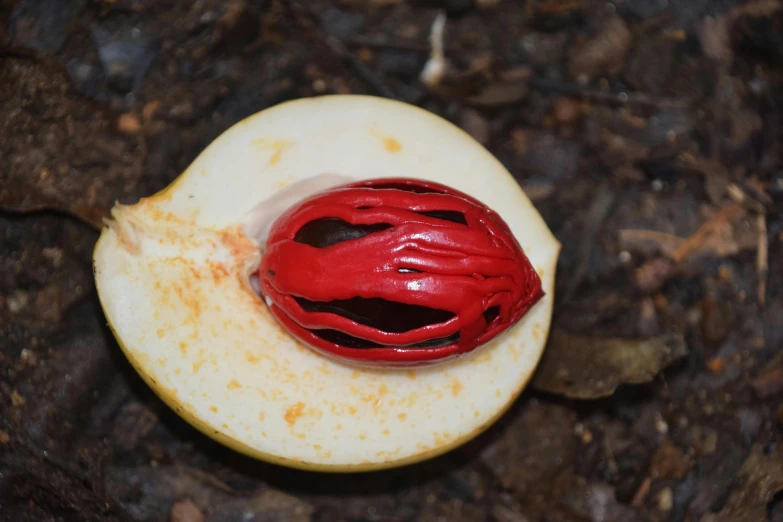 an apple with an artistically designed red paint