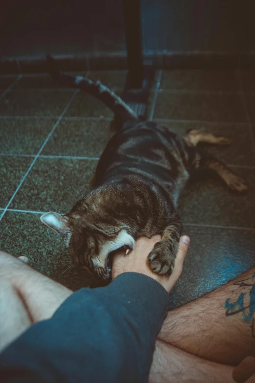 a man is petting a cat on the floor