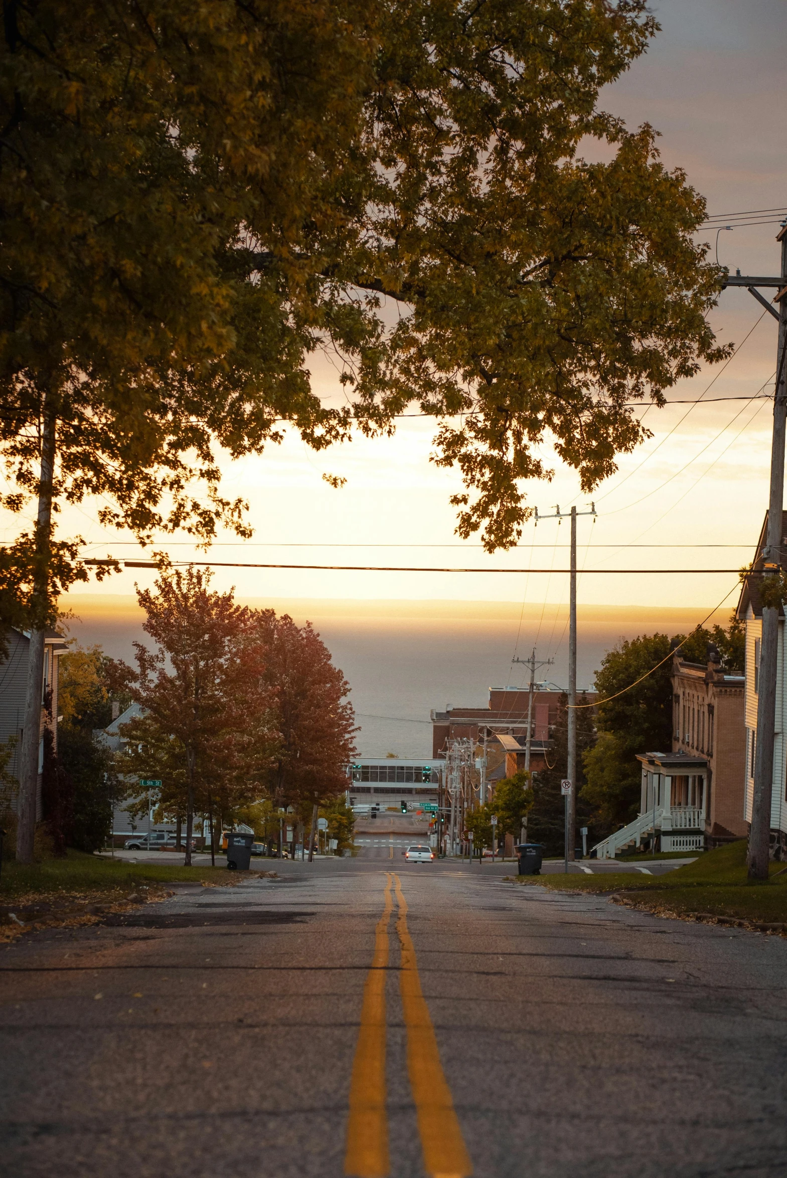 a tree line street with houses and ocean in the distance