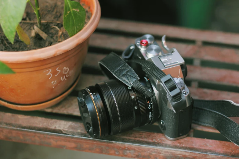 a camera on a bench near a plant