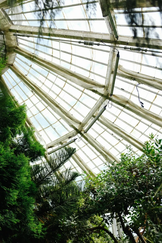 the roof of a huge building covered in glass