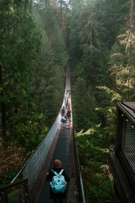 a woman holding a blue backpack crosses a suspension bridge in the forest