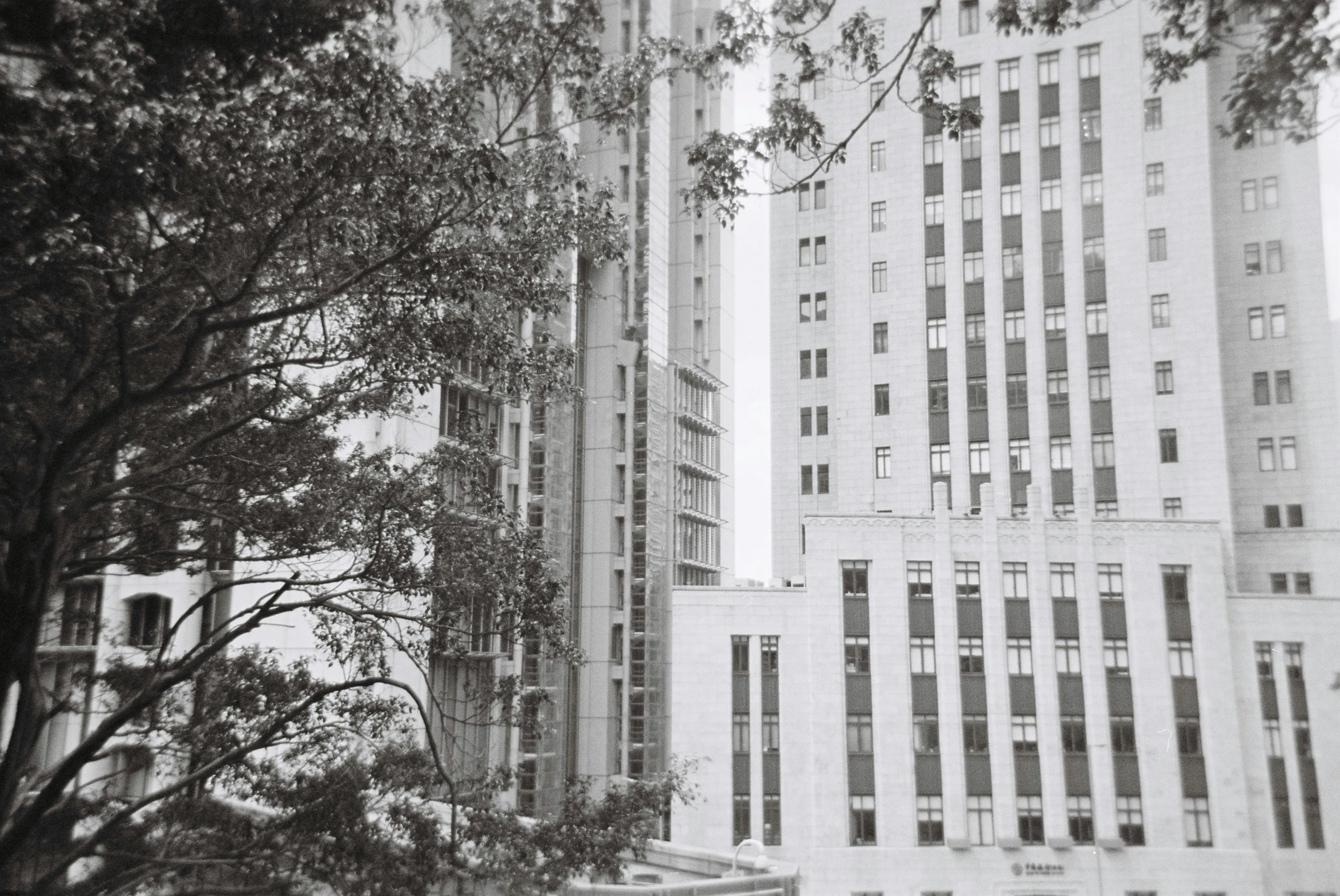 there are trees growing in front of buildings