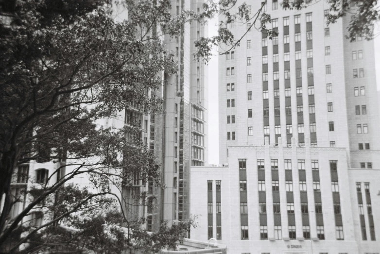 there are trees growing in front of buildings