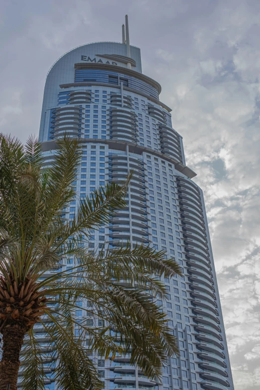 a tall building with a lot of windows and palm trees in front of it