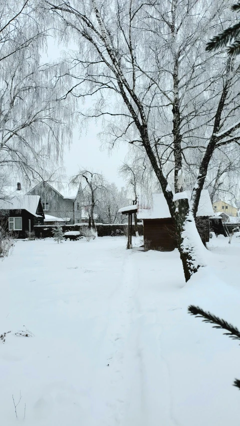 a tree stands in the snow with a house near by