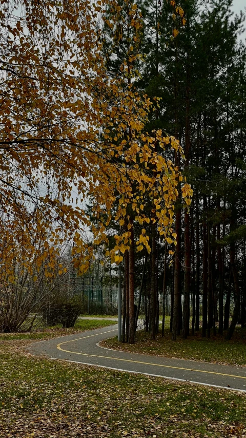 there is an empty parking space with lots of trees