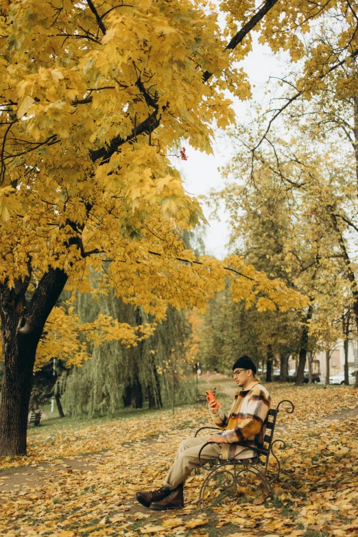 a person sitting on a bench with some leaves around them