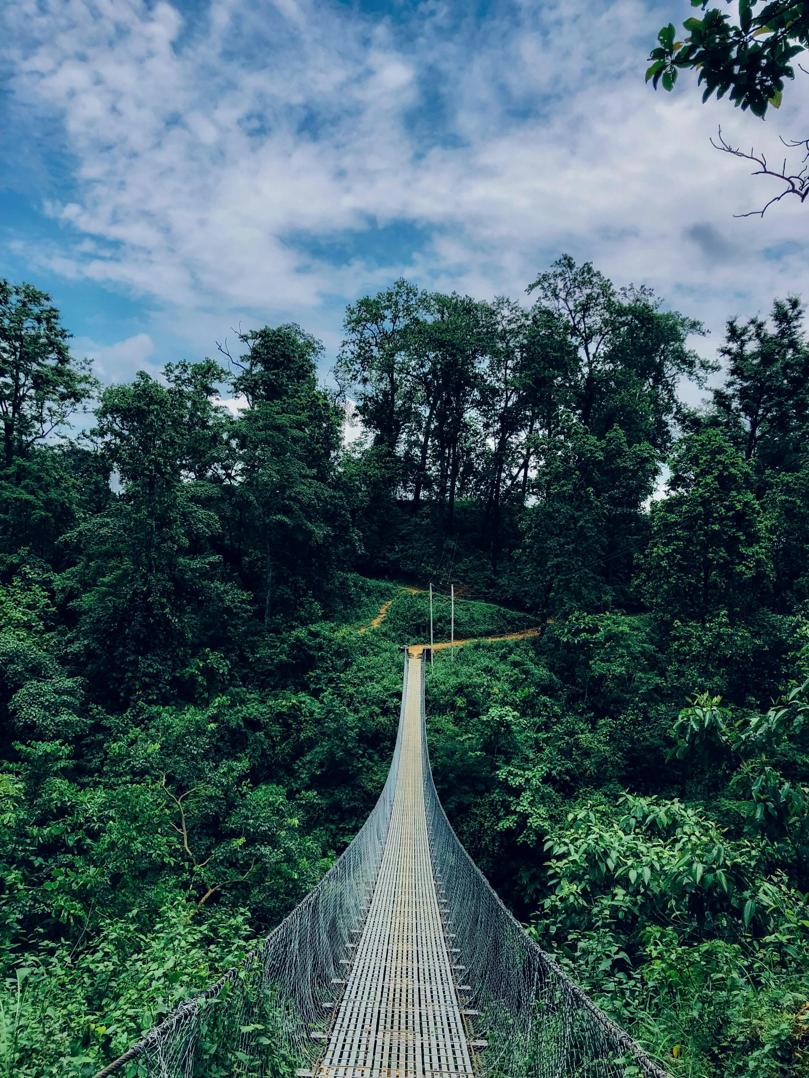 a suspension bridge in the woods over water