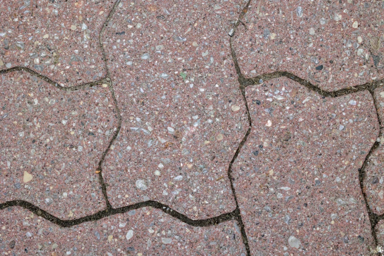 a red rock walkway with a snake on it