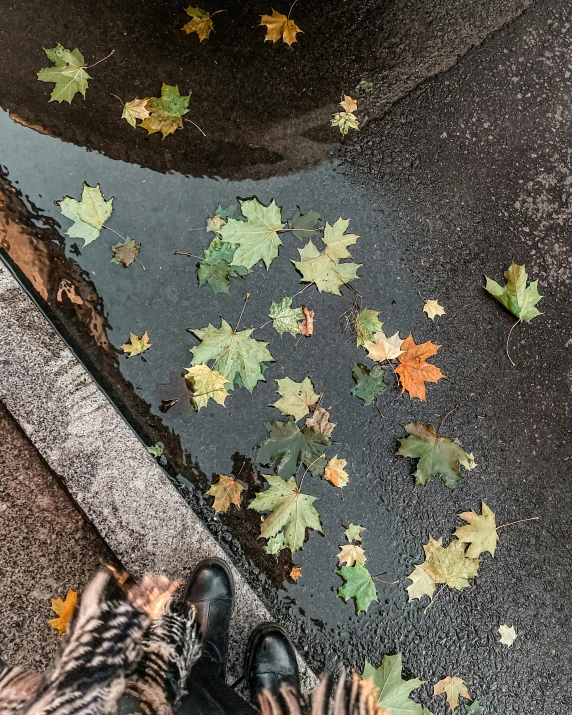 a person is standing by a dle with leaves scattered on the pavement