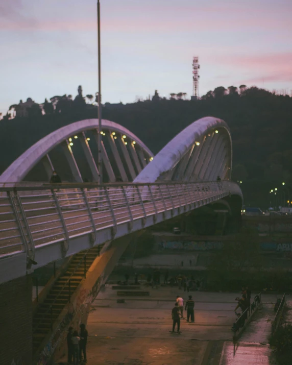 an overhead bridge spanning the width of a park