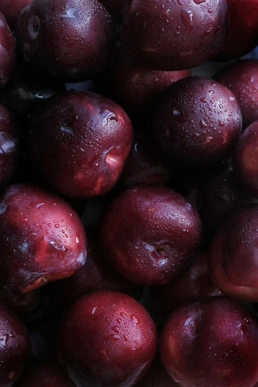 close up of red apples in a container covered with water