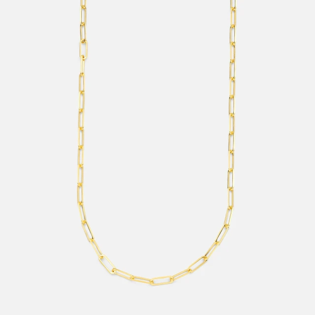 a chain necklace in gold with small links