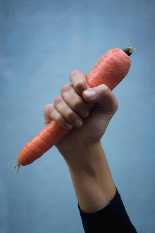 the hand holds up an orange carrot