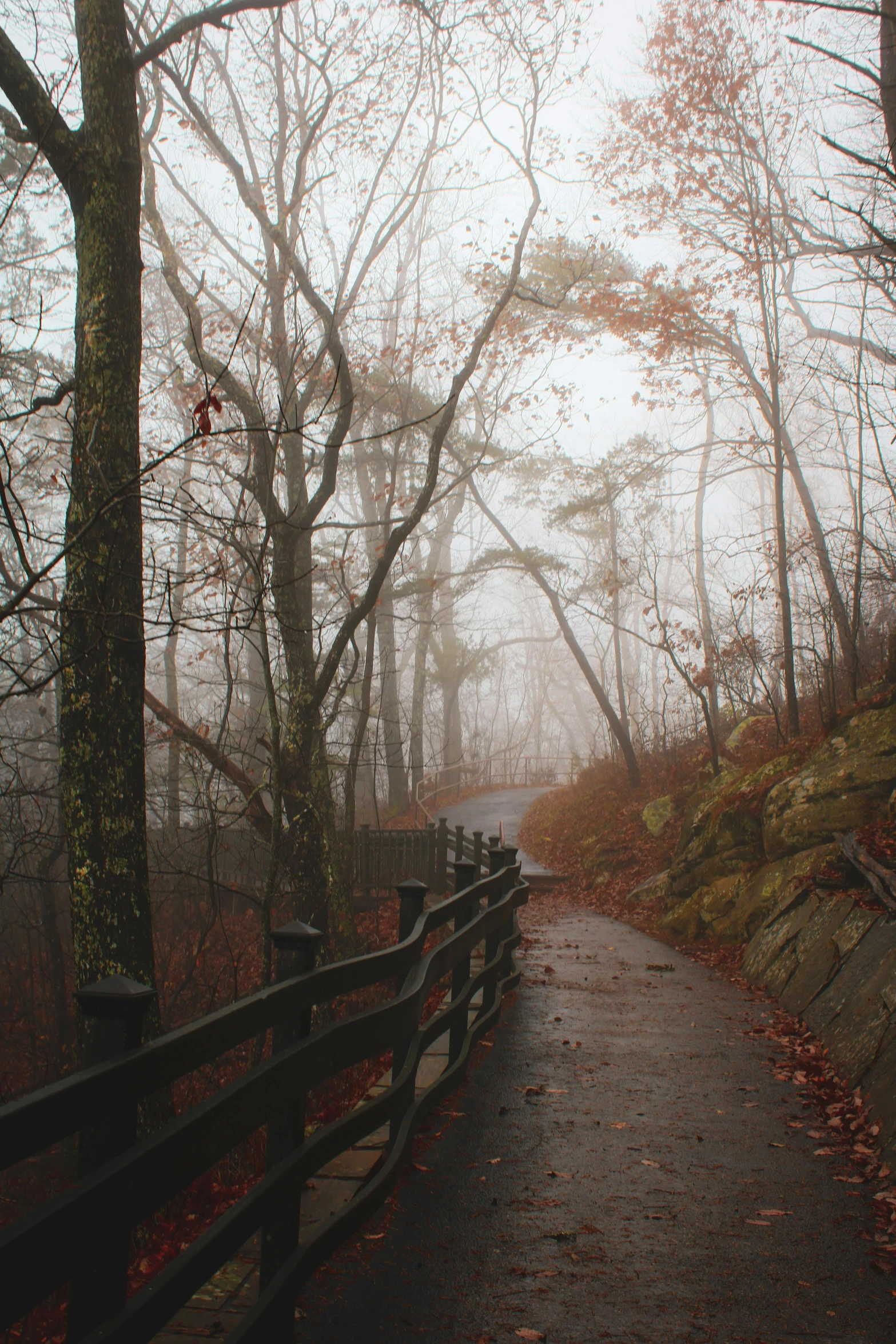 an empty trail with many trees and rocks